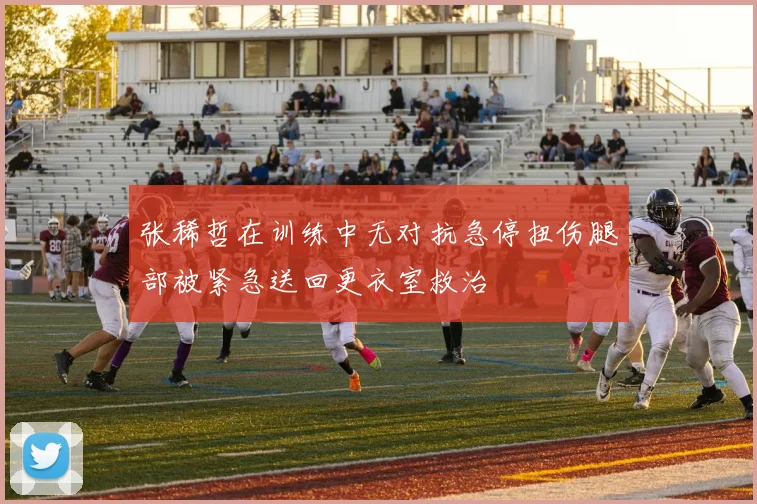 张稀哲在训练中无对抗急停扭伤腿部被紧急送回更衣室救治